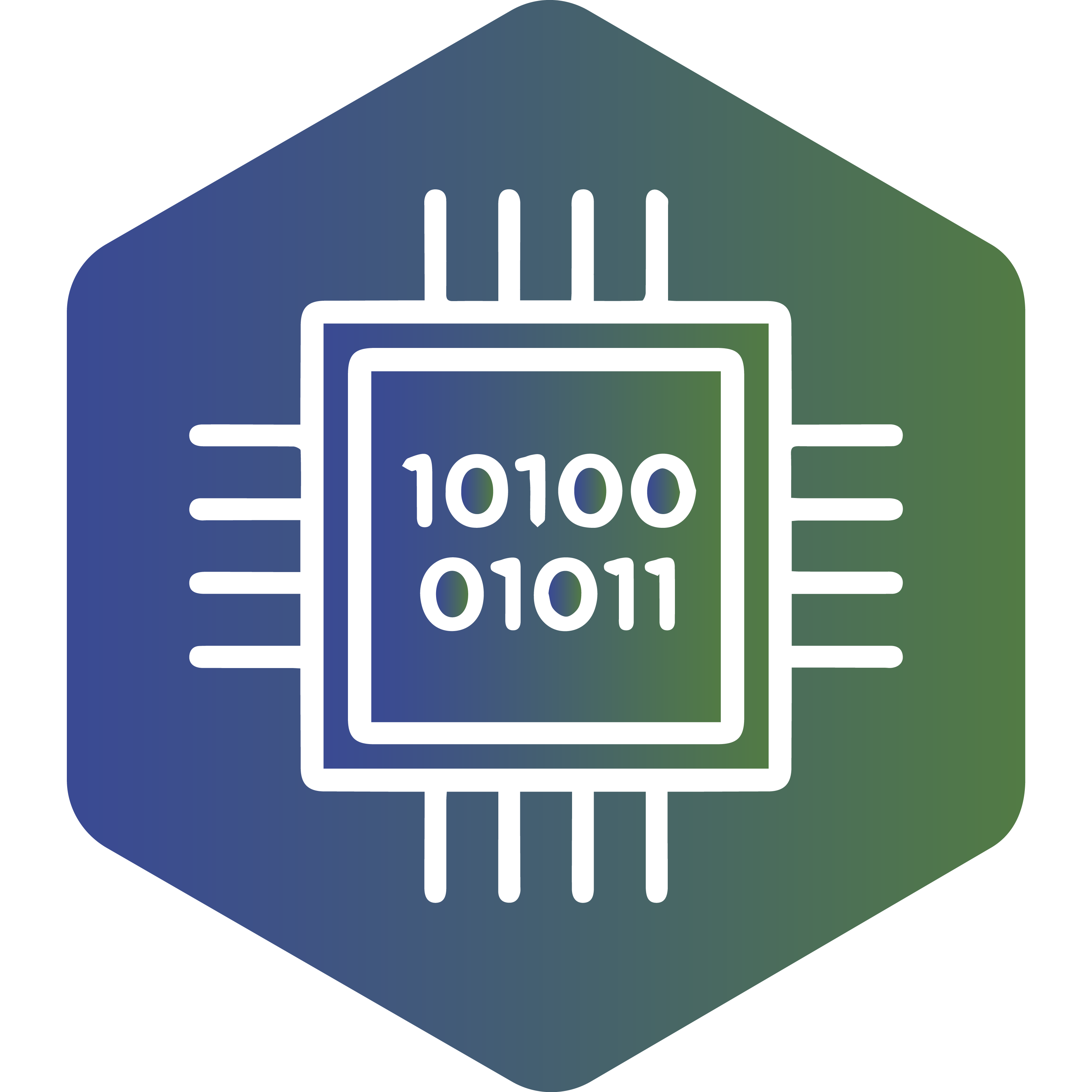 Icon Numerical Simulation